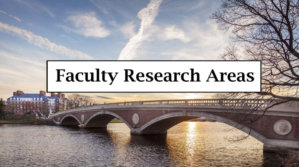 Faculty Research Areas